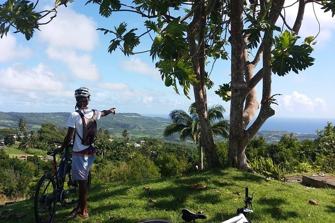 🌱 Want to Save the Planet and Your Wallet? Here’s Why E-Bikes Are the Future of Smart, Green Transport